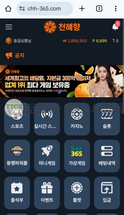 천혜향-먹튀사이트-피해금액-390만원-증거자료-제출