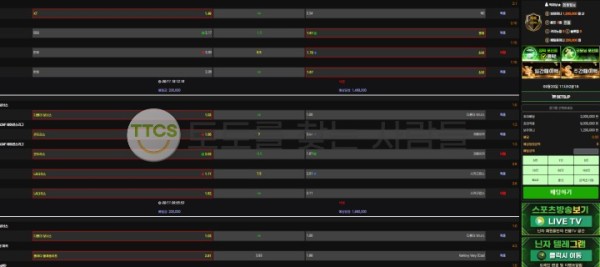 닌자-먹튀사이트-이용하며-실제-배팅한-내역